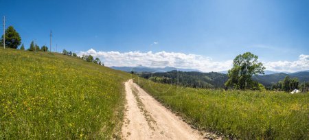 Photo for Summer picturesque Chornohora massiv mountains scenery view from Sevenei hill (near Yablunytsia pass, Carpathians, Ukraine.) - Royalty Free Image