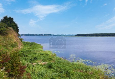 Foto de Verano apresurado vista al lago con pequeña arboleda en la orilla opuesta - Imagen libre de derechos