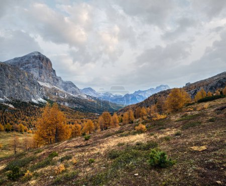 Colorful autumn alpine Dolomites rocky  mountain scene, Sudtirol, Italy. Peaceful view from Falzarego Path. Picturesque traveling, seasonal, nature and countryside beauty concept scene.