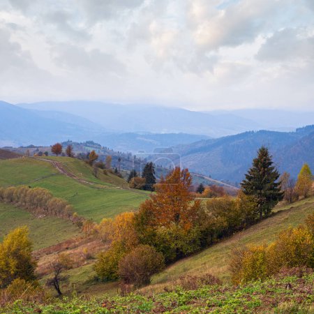 Photo for Cloudy and foggy morning autumn meadow scene. Peaceful picturesque traveling, seasonal, nature and countryside beauty concept scene. Carpathian Mountains, Ukraine. - Royalty Free Image