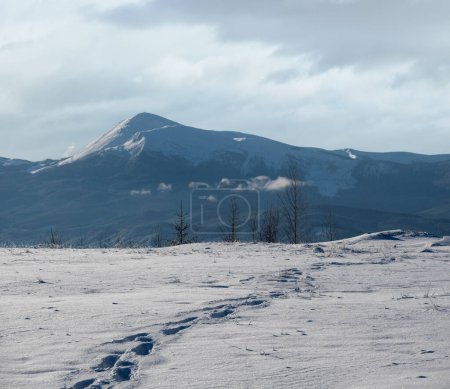 Photo for Winter picturesque Chornohora massiv mountains scenery view from Yablunytsia pass, Carpathians, Ukraine. - Royalty Free Image