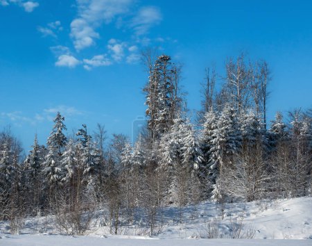 Téléchargez les photos : Paysage de montagnes d'hiver vue depuis le col de Yablunytsia, Carpates, Ukraine. - en image libre de droit