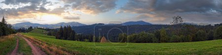 Téléchargez les photos : Summer mountain green meadow with stackes of hay (Slavske village, Carpathian Mountains, Ukraine). - en image libre de droit