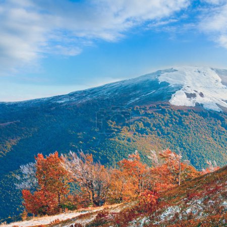 October Carpathian mountain Borghava plateau with first winter snow and autumn colourful foliage