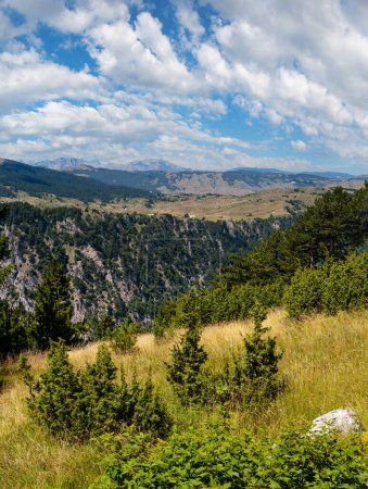 malerische Sommer-Berglandschaft der Tara-Schlucht im Durmitor-Nationalpark, Montenegro, Europa, Balkan, Dinarische Alpen, UNESCO-Welterbe.