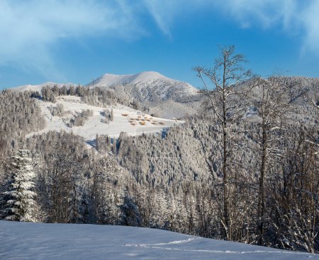 Foto de Invierno pintoresco Gorgany macizo montañas paisaje vista desde el paso de Yablunytsia, Cárpatos, Ucrania. - Imagen libre de derechos