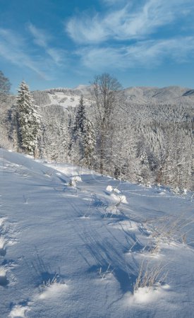 Winter malerisch Gorgany massive Berge Landschaft Blick vom Jablunytsia Pass, Karpaten, Ukraine.