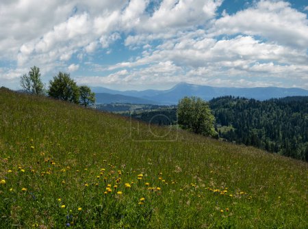 Foto de Verano pintoresco Chornohora macizo montañas paisaje vista desde la colina Sevenei (cerca del paso Yablunytsia, Cárpatos, Ucrania.) - Imagen libre de derechos