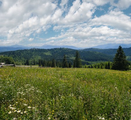 Verano pintoresco Chornohora macizo montañas paisaje vista desde la colina Sevenei (cerca del paso Yablunytsia, Cárpatos, Ucrania.)