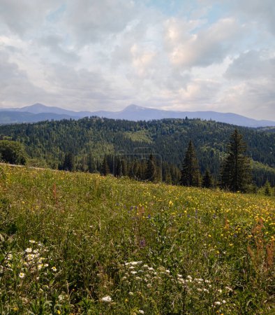 Téléchargez les photos : Été pittoresque Chornohora massiv montagnes vue paysage de Sevenei colline (près de Yablunytsia col, Carpates, Ukraine.) - en image libre de droit