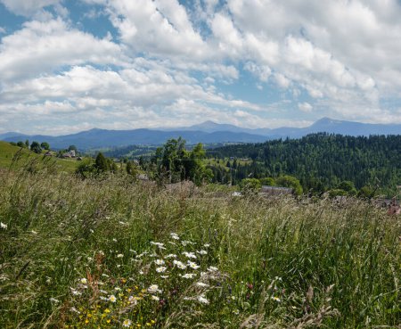 Verano pintoresco Chornohora macizo montañas paisaje vista desde la colina Sevenei (cerca del paso Yablunytsia, Cárpatos, Ucrania.)