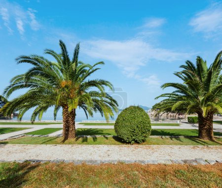 Une belle vue du matin parc d'été avec palmier près de la plage de Milocer (Monténégro, Budva
)
