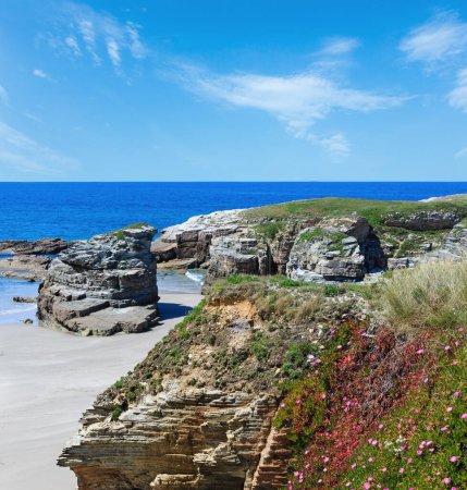 Summer blossoming Atlantic beach Illas (Galicia, Spain)  with white sand and pink flowers in front.