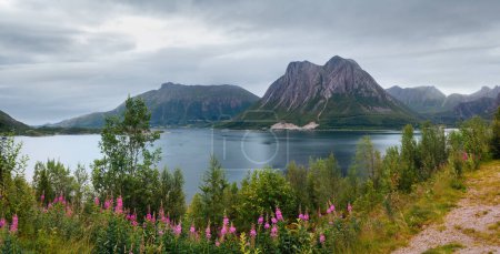 Photo for Fjord summer cloudy view with flowers in front (Norway) - Royalty Free Image
