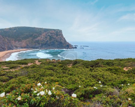Verano en flor Vista de la costa rocosa atlántica, Aljezur, Algarve oeste, Costa Vicentina, Portugal
.