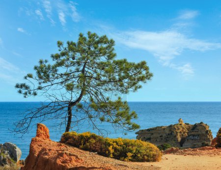 Summer Atlantic coast view with red clayey and yellow limestony cliffs near beach Praia de Sao Rafael , Albufeira, Algarve, Portugal.