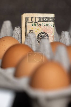 Photo for Concept image using USA currency and fresh eggs for the price of eggs in 2023 - Royalty Free Image