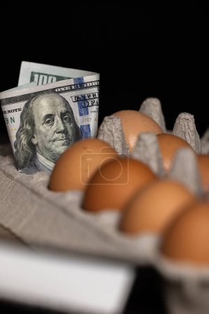 Photo for Concept image using USA currency and fresh eggs for the price of eggs in 2023 - Royalty Free Image