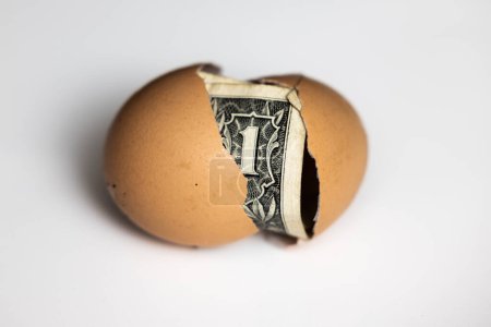 Photo for Concept image using a 1 dollar bill inside of a cracked egg on a white background - Royalty Free Image