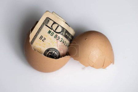 Photo for Concept image using a 10 dollar bill inside of a cracked egg on a white background - Royalty Free Image