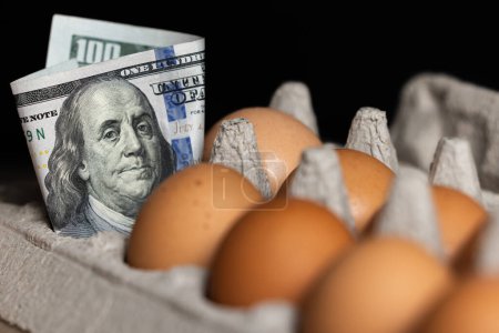 Foto de Imagen conceptual utilizando moneda de EE.UU. y huevos frescos por el precio de los huevos en 2023 - Imagen libre de derechos