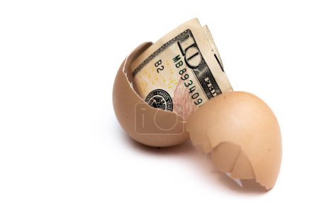 Foto de Concept image using a 10 dollar bill inside of a cracked egg on a white background - Imagen libre de derechos
