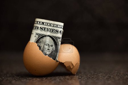 Photo for Concept image using a 1 dollar bill inside of a cracked egg - Royalty Free Image