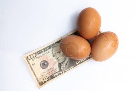 Photo for Fresh eggs on top of a 10 dollar US bill on a white background - Royalty Free Image