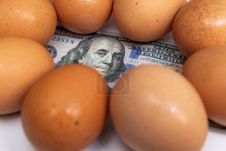 Photo for Fresh eggs on top of a 100 dollar US bill on a white background - Royalty Free Image