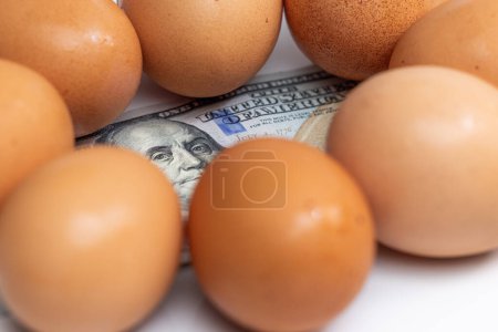 Téléchargez les photos : Œufs frais sur un billet de 100 dollars sur fond blanc - en image libre de droit