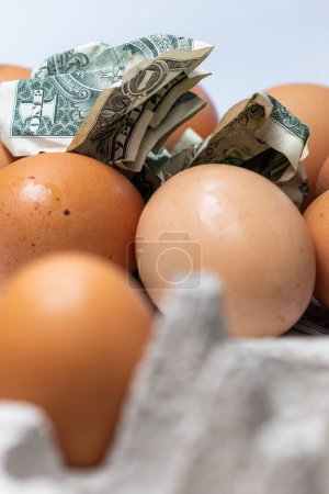 Photo for Pile of fresh eggs with crumbled american dollar bills on top as a concept image - Royalty Free Image