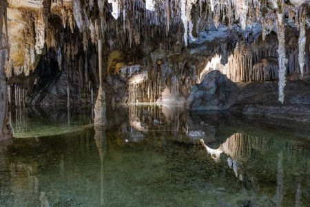 Foto de Piscina subterránea con reflejos tranquilos con estalactitas colgando del techo dentro de las Cuevas de Lehman en el Parque Nacional de la Gran Cuenca - Imagen libre de derechos