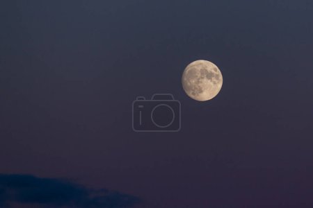Téléchargez les photos : Gros plan d'une superlune moissonnée sur un ciel sombre - en image libre de droit