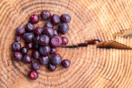 Photo for Close up of a pile of freshly picked huckleberries on a tree round with natural light - Royalty Free Image