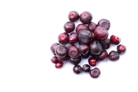 Photo for Close up of a heap of large fresh huckleberries isolated on a white background - Royalty Free Image