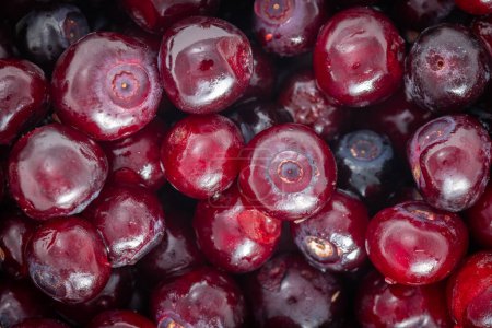 Photo for Close up of a heap of freshly picked huckleberries as a background - Royalty Free Image