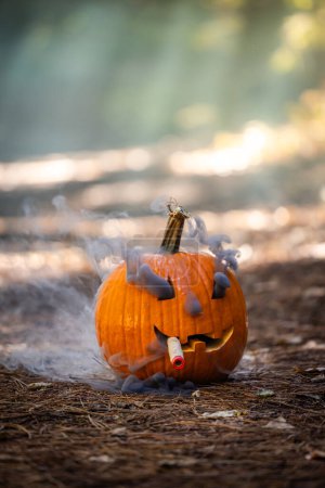 Photo for Close up of a carved pumpkin for halloween smoking a cigar with smoke coming out of his mouth in a natural spooky forest setting - Royalty Free Image