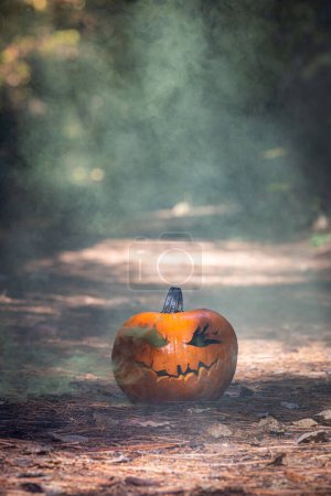 Photo for Close up of a carved pumpkin for halloween with smoke coming out of the cut outs in a natural spooky forest setting - Royalty Free Image