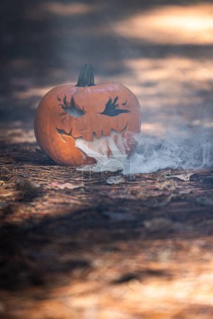 Foto de Primer plano de una calabaza tallada para Halloween con humo saliendo de los recortes en un entorno de bosque espeluznante natural - Imagen libre de derechos