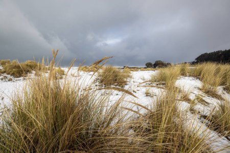 Téléchargez les photos : Plage de tortues rocheuses recouverte de neige après une rare tempête hivernale amenant de la neige sur la côte sud de l'Oregon fin février 2023 - en image libre de droit