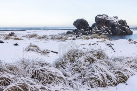 Téléchargez les photos : Caractéristique rocheuse populaire à Gold Beach en Oregon connue sous le nom de roche de tortue couverte de neige lors d'une rare tempête hivernale en février 2023 - en image libre de droit