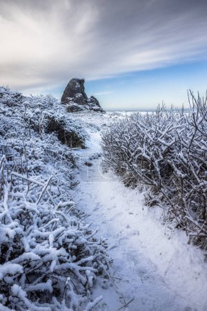 Téléchargez les photos : Arrêt populaire à Gold Beach Oregon connu sous le nom de Kissing rock avec un paysage enneigé en raison d'une rare tempête hivernale en février 2023 - en image libre de droit