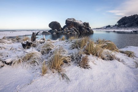 Photo for Popular rock feature in Gold Beach Oregon known as turtle rock covered with snow in a rare winter storm in February 2023 - Royalty Free Image
