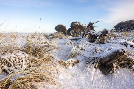 Téléchargez les photos : Caractéristique rocheuse populaire à Gold Beach en Oregon connue sous le nom de roche de tortue couverte de neige lors d'une rare tempête hivernale en février 2023 - en image libre de droit