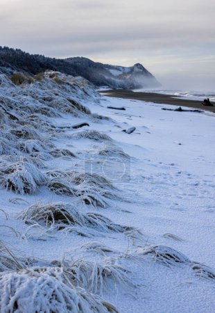 Téléchargez les photos : Cap Sébastien au sud de Gold Beach Oregon avec neige et océan orageux après une tempête hivernale en février 2023 - en image libre de droit