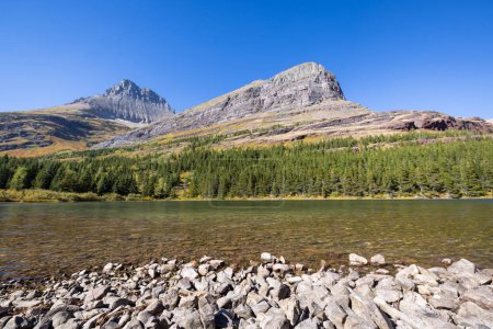 Téléchargez les photos : Belle après-midi d'automne au lac Red Rock, parc national des Glaciers dans le Montana. - en image libre de droit