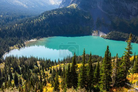 Foto de Hermoso lago Grinnell en montana con colores otoñales en el bosque - Imagen libre de derechos