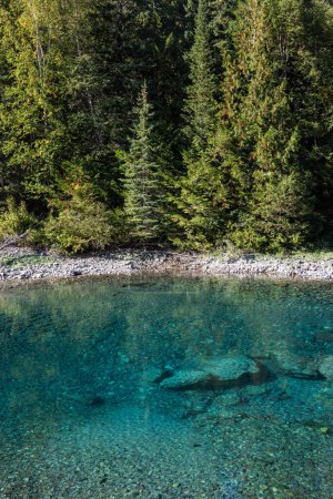 Foto de Río hermoso y claro con agua fresca derretida glaciar en el Parque Nacional Glaciar, Montana - Imagen libre de derechos