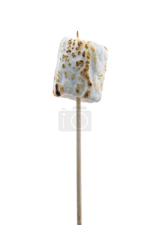 Photo for Close up of a toasted marshmallow on a stick isolated on a white background - Royalty Free Image