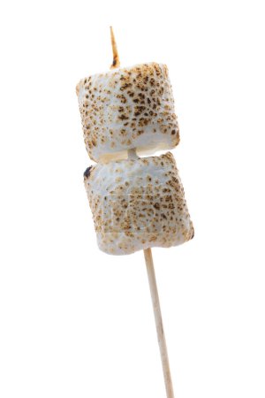 Photo for Toasted marshmallows on a stick isolated on a white background - Royalty Free Image